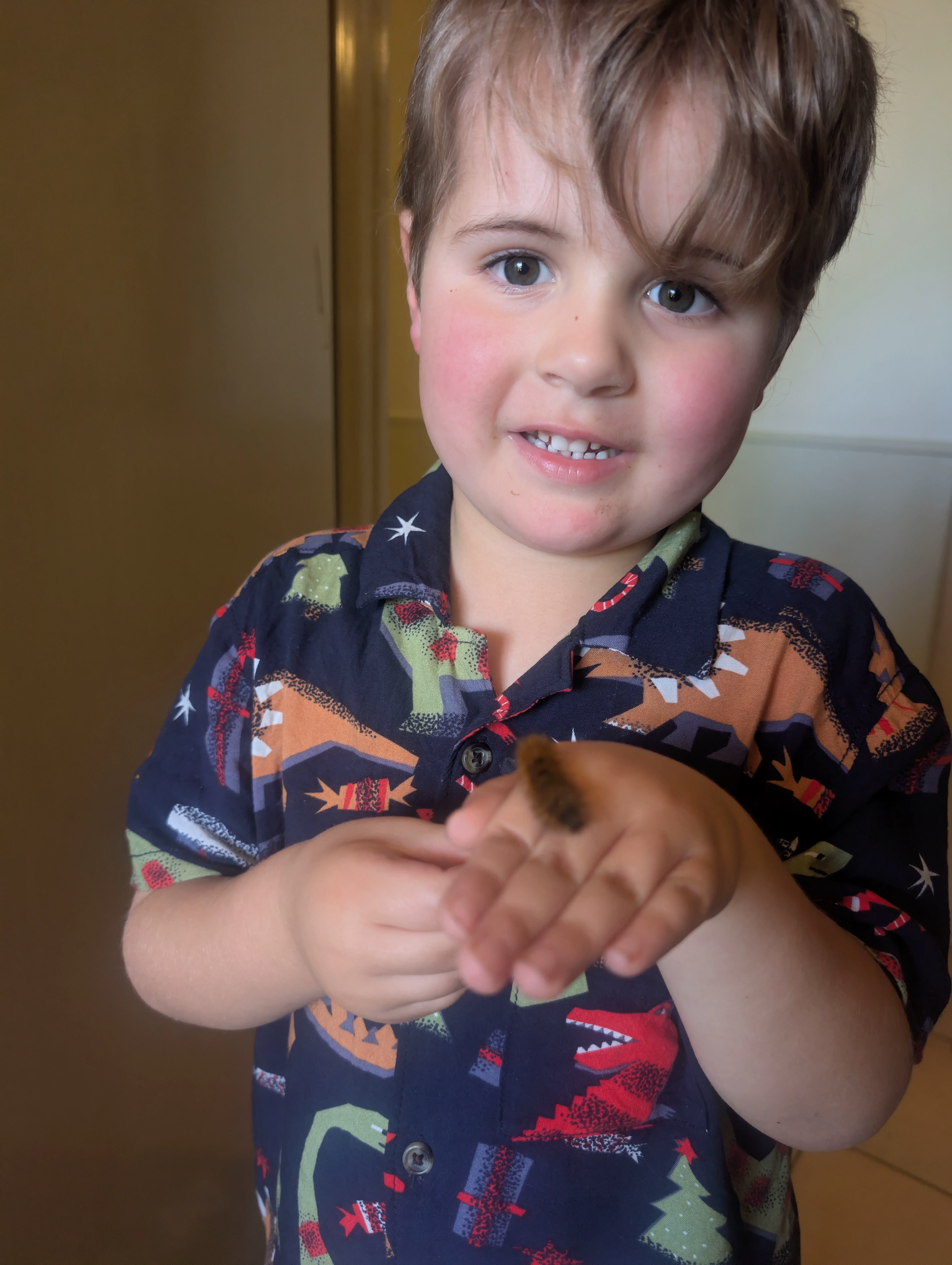 We made lots of caterpillar friends