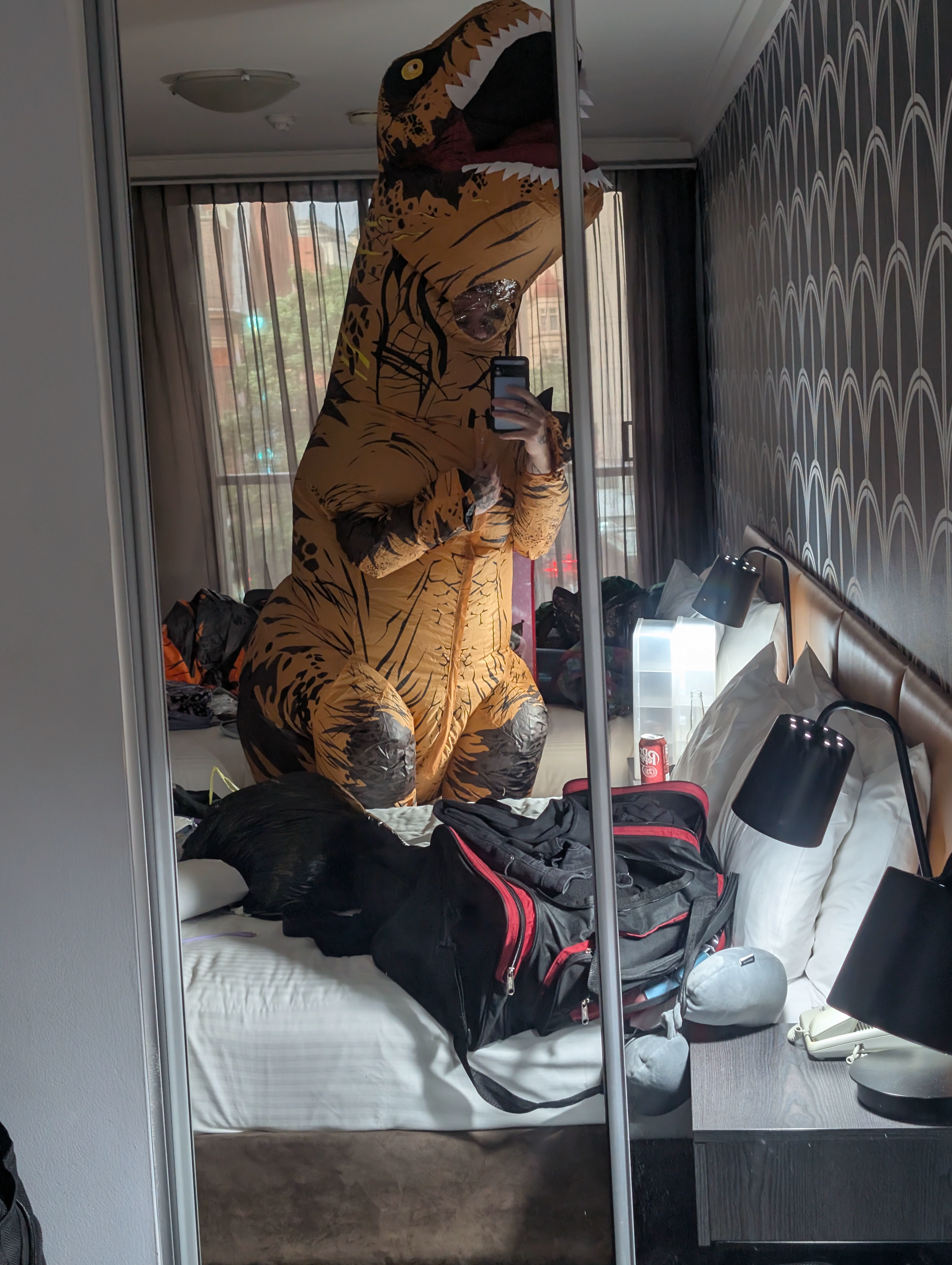 Too big 4 da hotel room